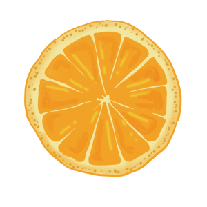 オレンジの輪切りのイラスト
