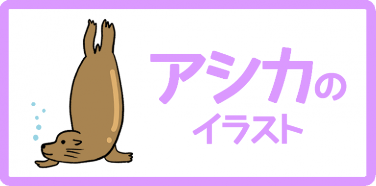 アシカのイラスト