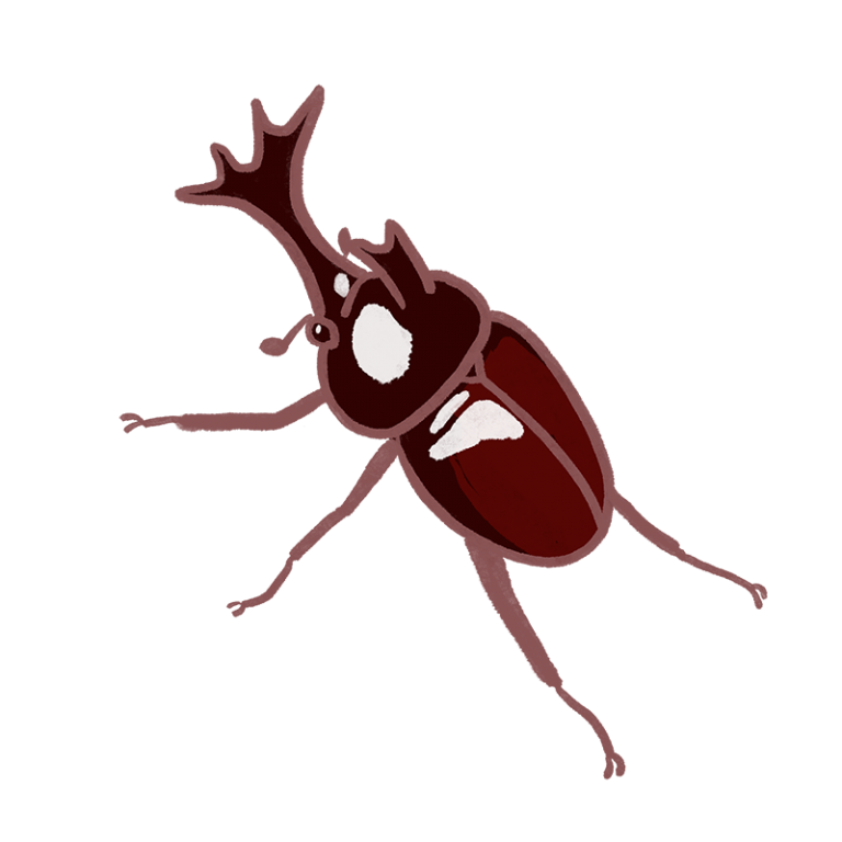 カブトムシ のイラストまとめ。無料フリー素材で使えるかわいい手書きも - ONWAイラスト