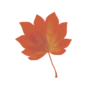 ハウチワカエデの紅葉のイラスト