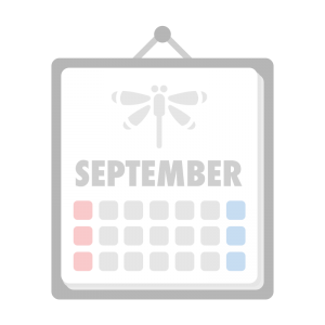 9月のカレンダーのイラスト