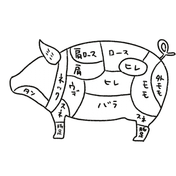 豚肉の部位のイラスト