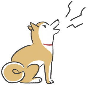 吠える柴犬のイラスト