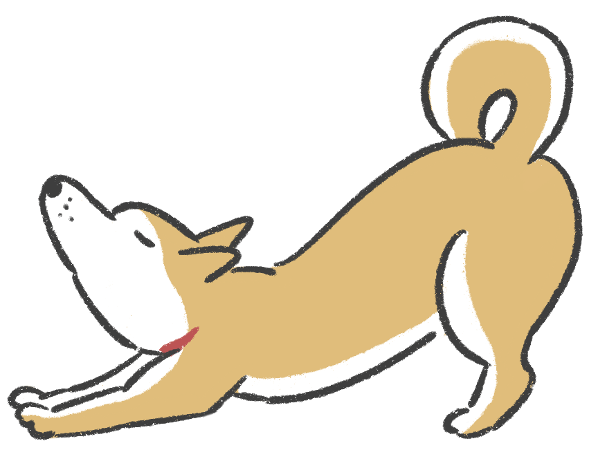 のびをする柴犬のイラスト Onwaイラスト