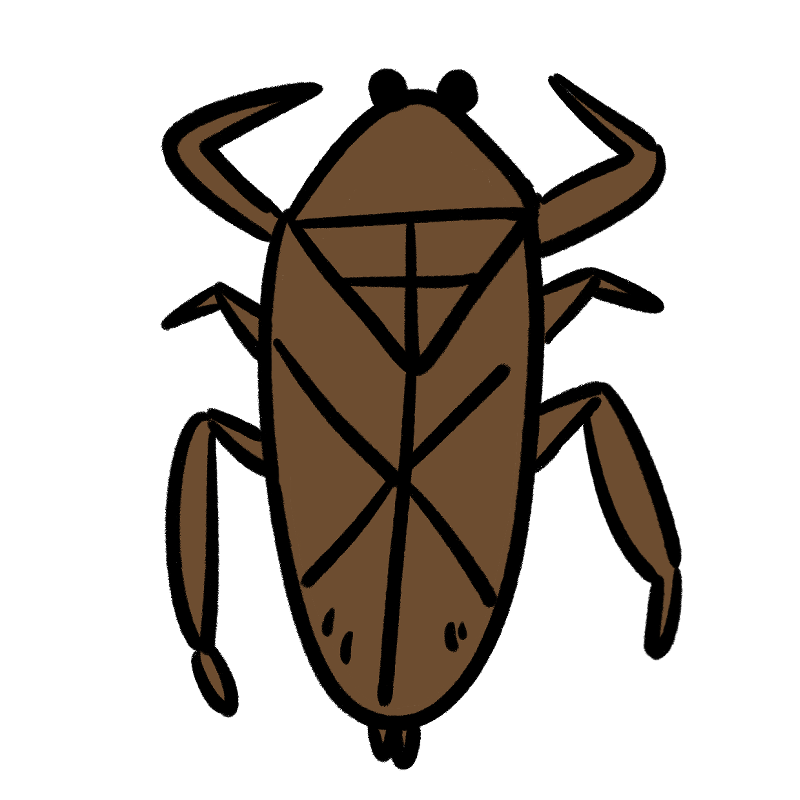 タガメのイラスト Onwaイラスト