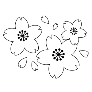 白黒の桜のイラスト