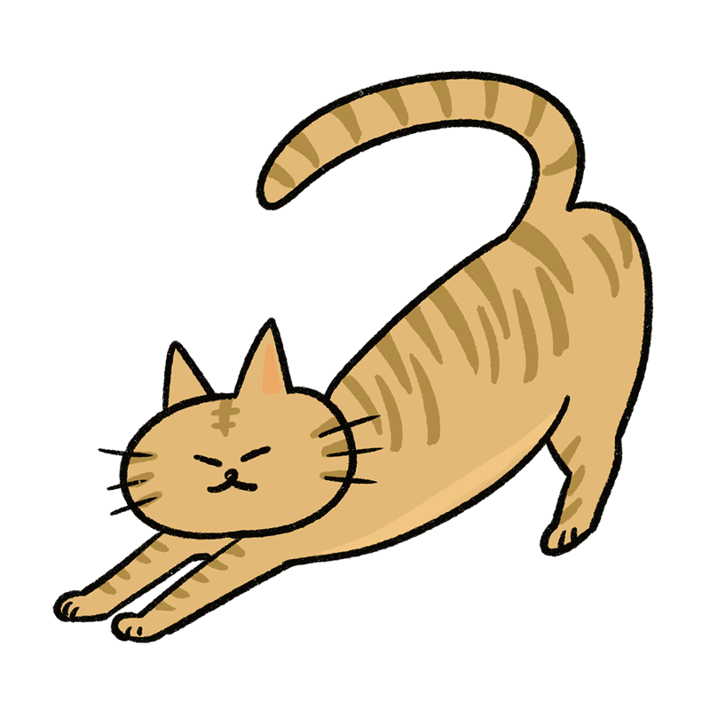 extend_cat_015.png