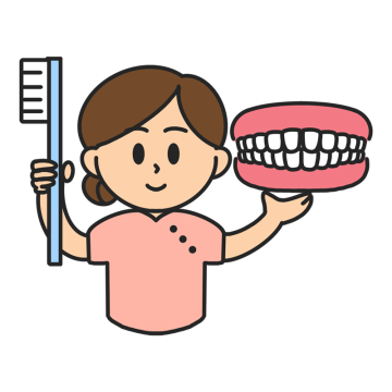 歯の模型と歯ブラシを持つ歯科衛生士のイラスト