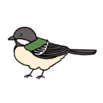 シジュウカラのイラスト
