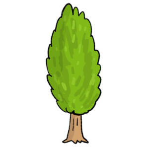 ポプラの木のイラスト