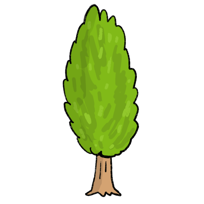 ポプラの木のイラスト