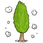 ポプラの木の綿毛が飛んでいるイラスト
