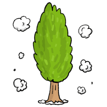 ポプラの木の綿毛が飛んでいるイラスト